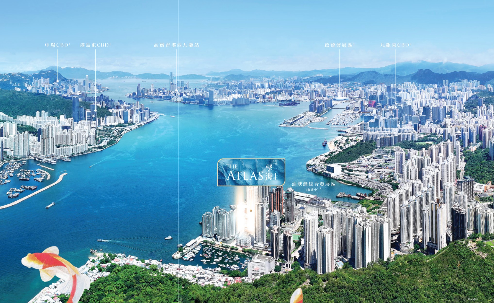 擎海鳥瞰維港海景效果圖
